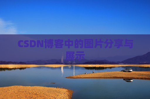 CSDN博客中的图片分享与展示